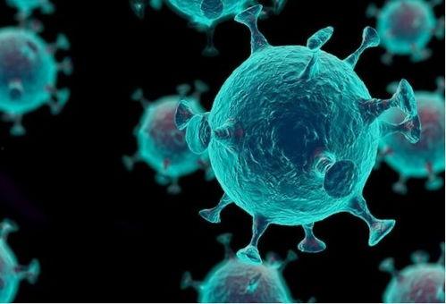 新冠源头爆料视频  第3张